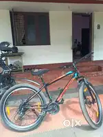 Urban terrain cycle
