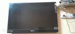 Sony LEDex31