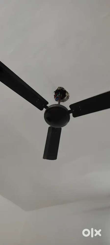 मेन रोड से लगा हुआ