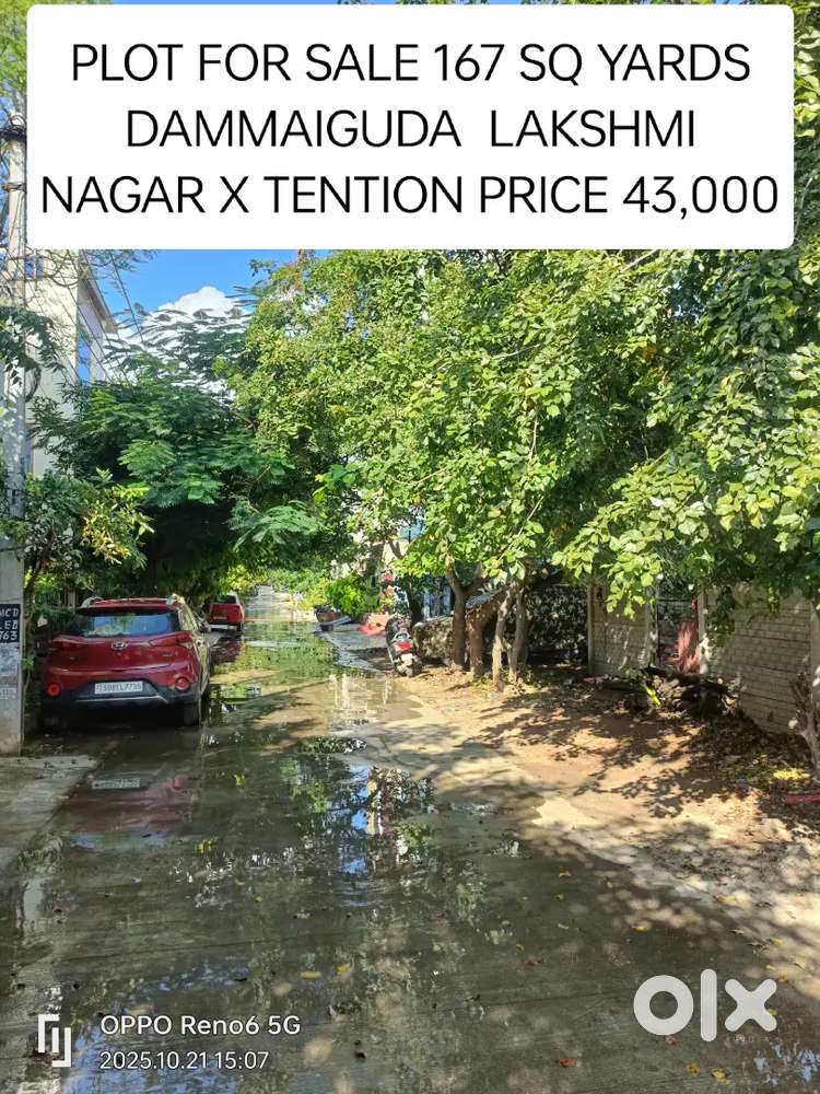 Open plot s seals and purchase