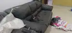 3+1+1 sofa
