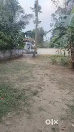 13 cent plot for sale
