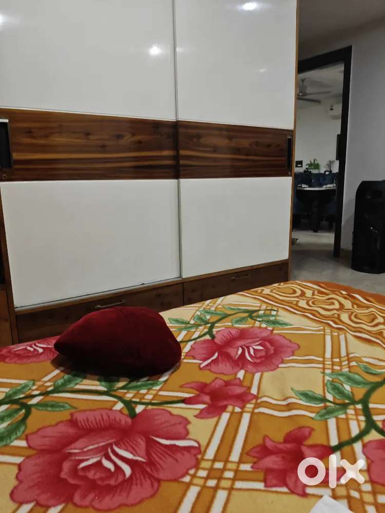 Housekeeping boy for house