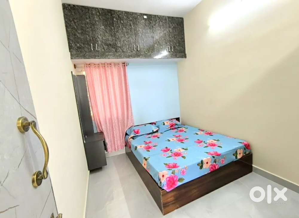 Fully Furnished 1 RK & 1 BHK Flats in Electronic City