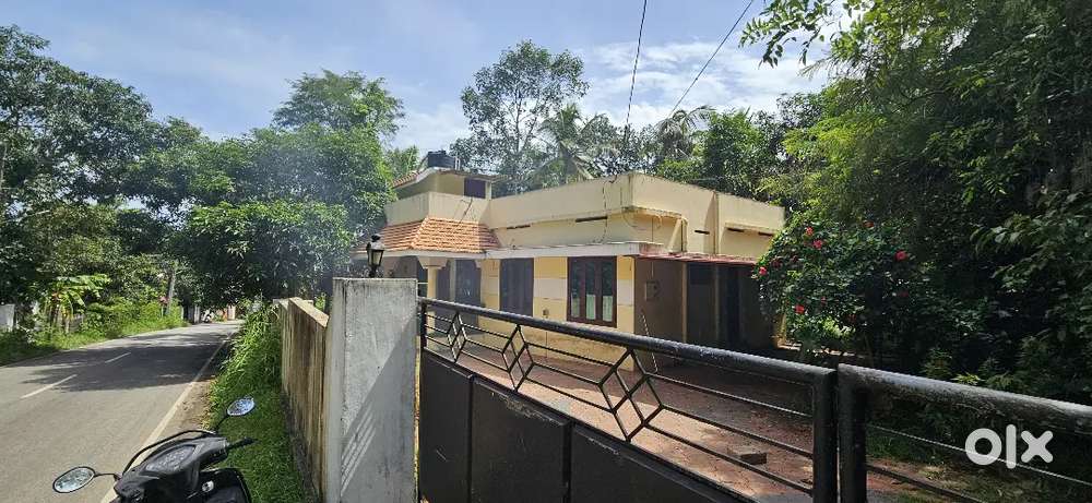 Independent house suitable for stay, office or commercial purposes