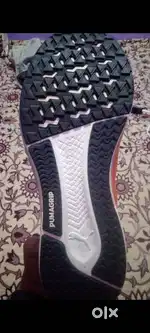 I want to sell my brand new puma nitro shoes in very cheap price