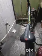 Streetcat Xtreme