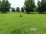 Plot For Sale