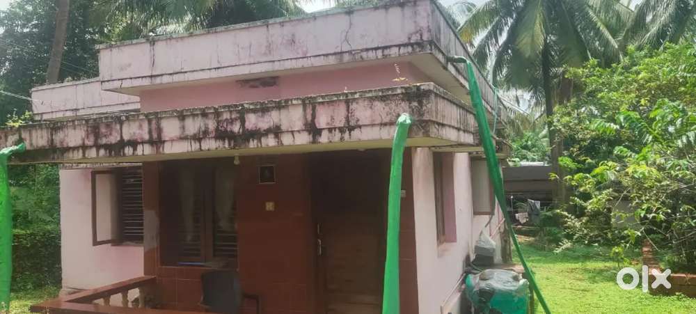 Independent house with 9.5 cents land