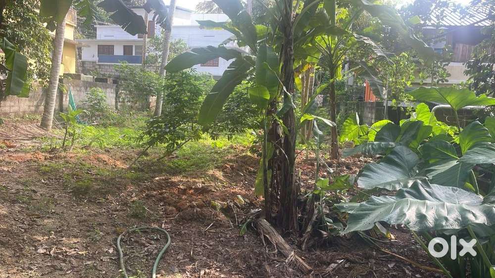 DIRECT OWNER 8.5CENTS RESIDENTIAL PLOT FOR URGENT SALE NEAR VELLAYANI