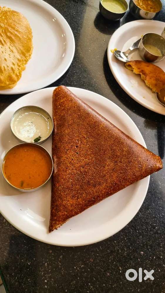 DOSA Stall business in Shahdara.