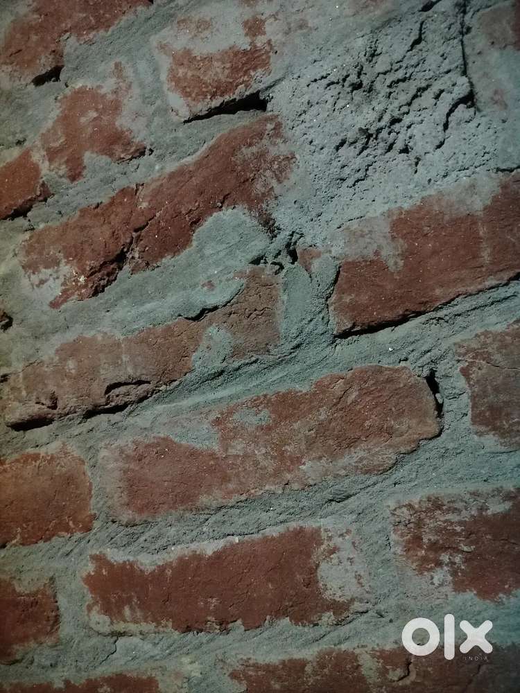 3000sq. Feet se jyada jameen hai