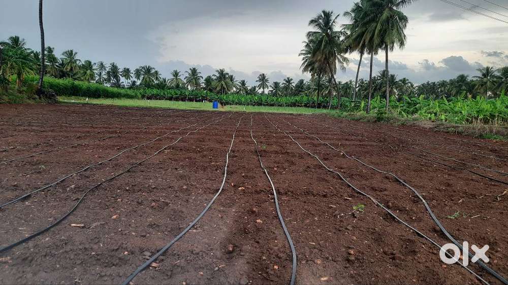 Sales manager/Office Assistant