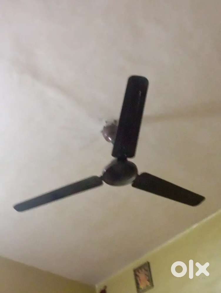 2 same colour ceiling fans for sale on urgent bases.
