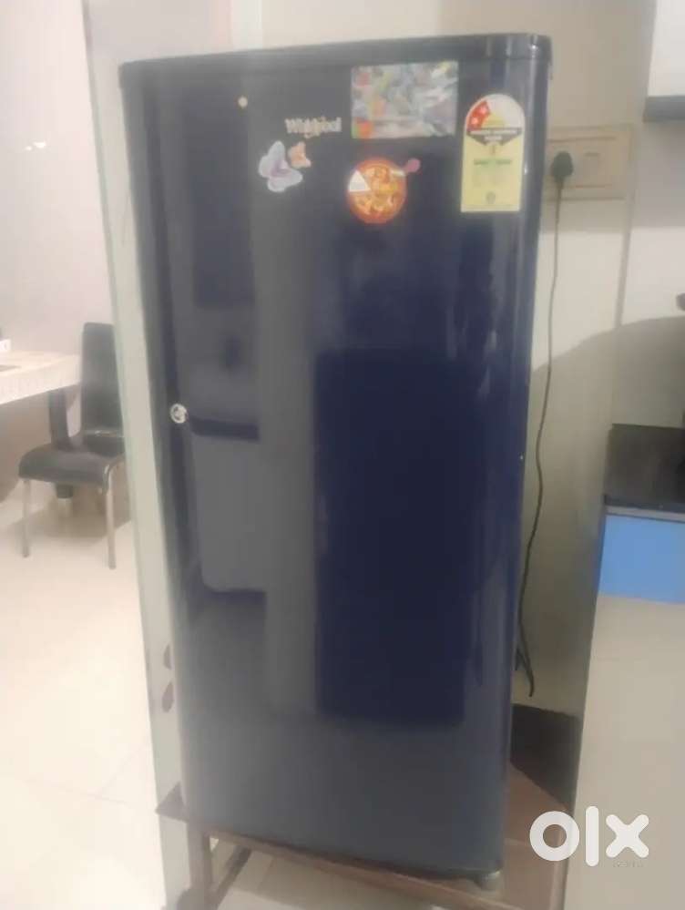 16 months used freeze