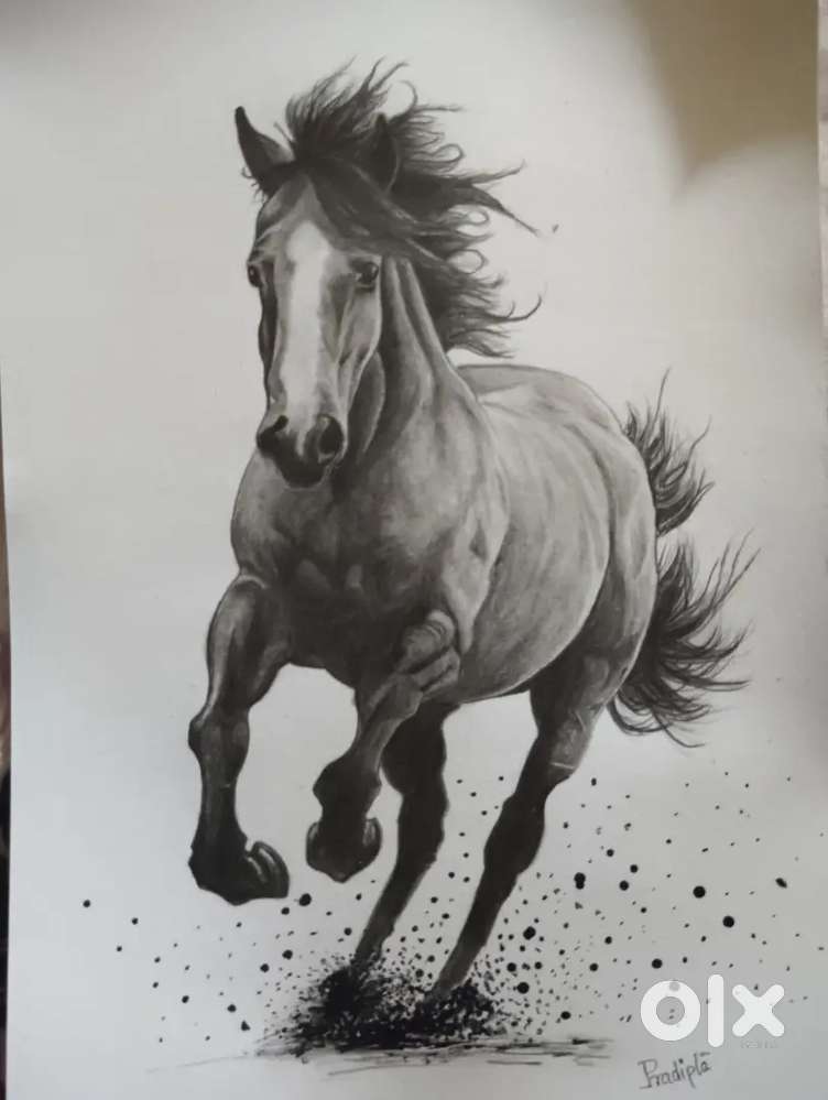 Horse drawing