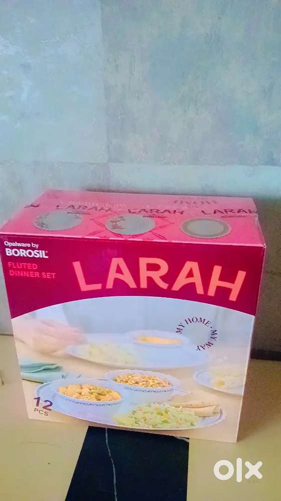 Larah company dinner set