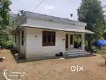 40-Cent Residential Plot with House for Sale – Thrikepatta, Wayanad
