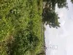 Neelgund layout