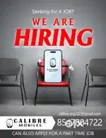 Sales exicutive at mobile phone accessories shop