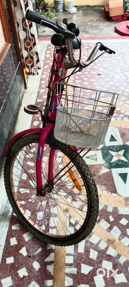 Pink colour cycle