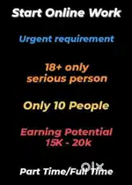 Online Work from home (government satisfied).