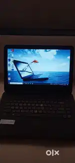 Hp laptop AMD