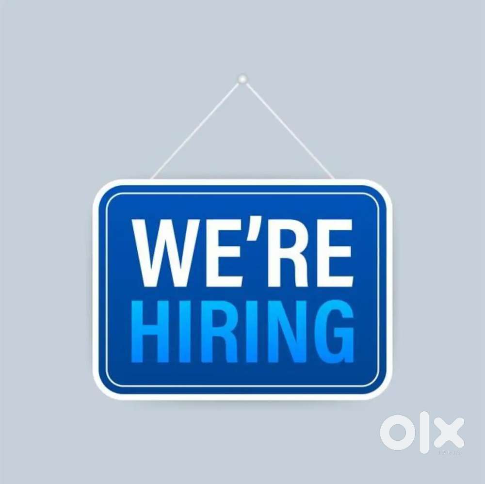 Admin Executive