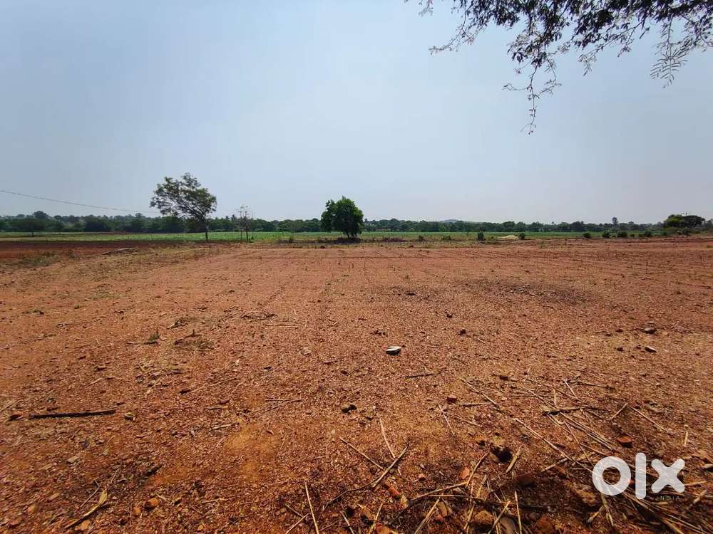 land near  sangolli rayanna sainik school.