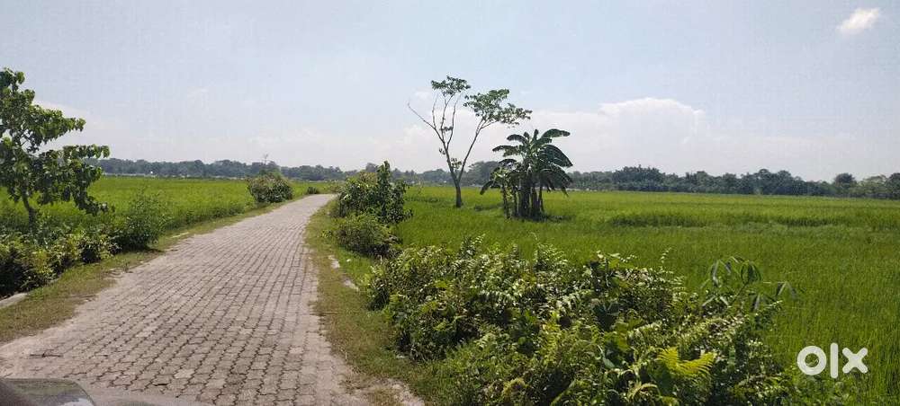 3 katha myady patta plot sell urgent, residential