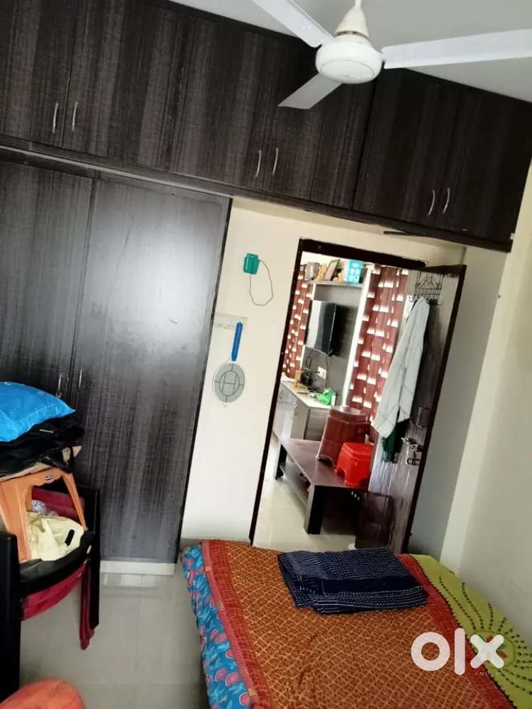 2bh flat for rent in krishna nagar