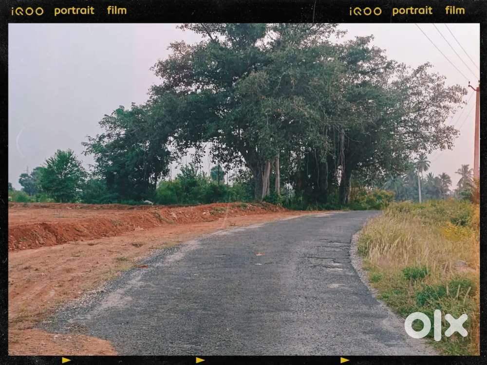 Agriculture land for sale in near annur
