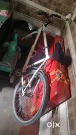 Decathlon cycle