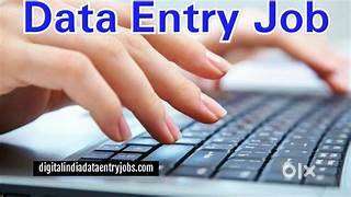 Data entry executive