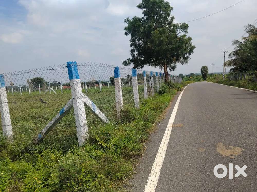 36 CENT SITE FOR SALE IN POGALOR NEAR ANNUR