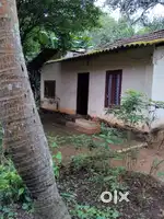 Small house for sale