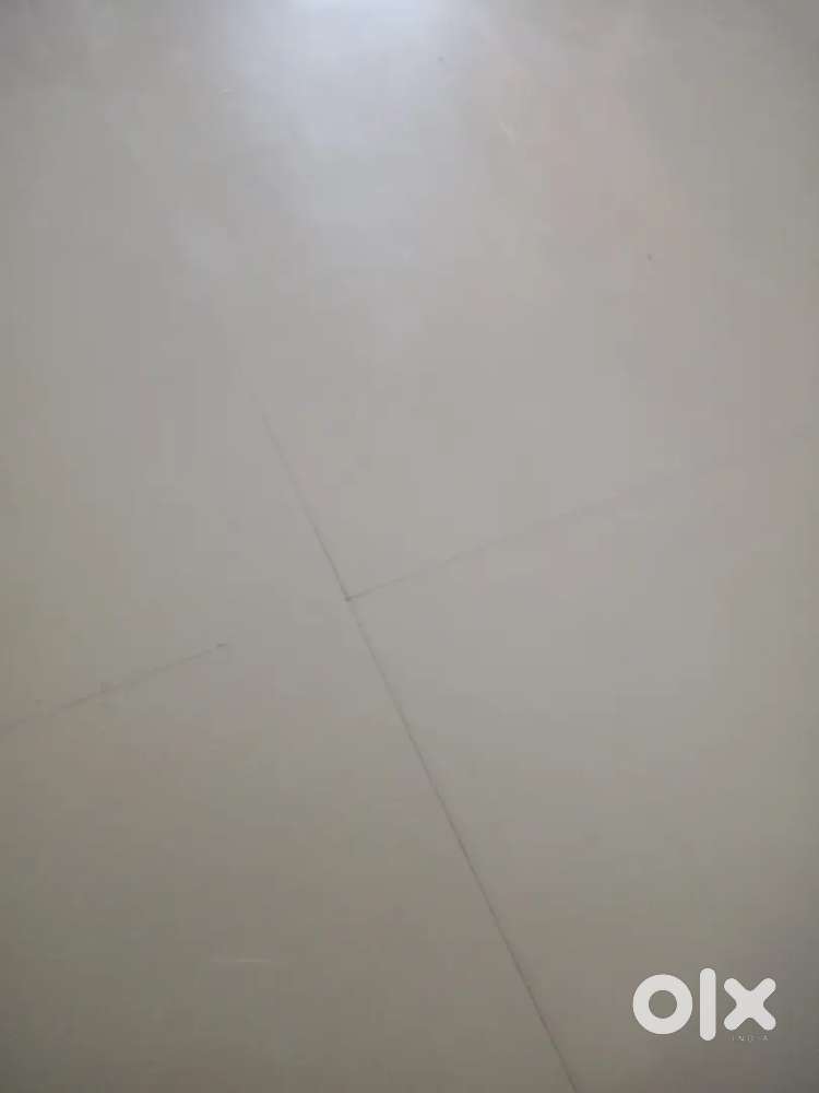 Akota area 2 bhk flat rent