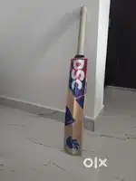 DSC Bat 1 month old