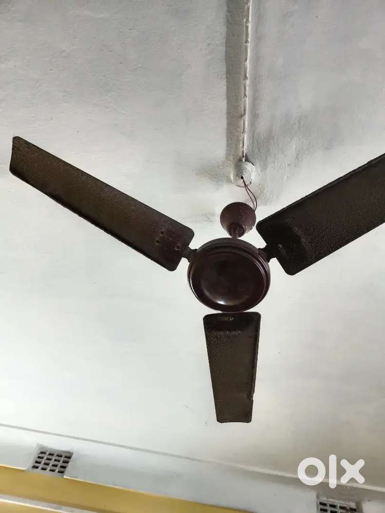 Ceiling fan 48