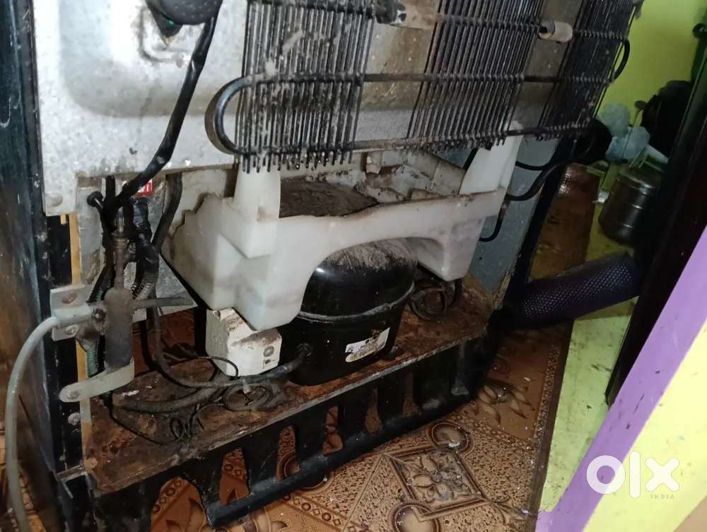 LG cooler and freezer fridge