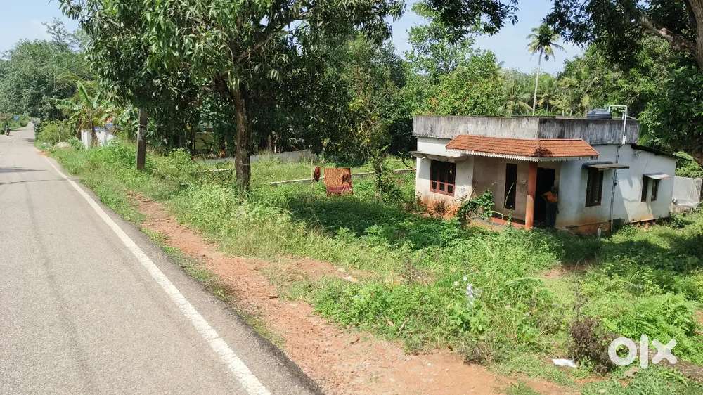 ആറ്റിങ്ങൽ മെയിൻ റോഡിൽ നിന്നും 3.5 km മാറി 14 സെൻ്റ്  (എമർജൻസി sale)