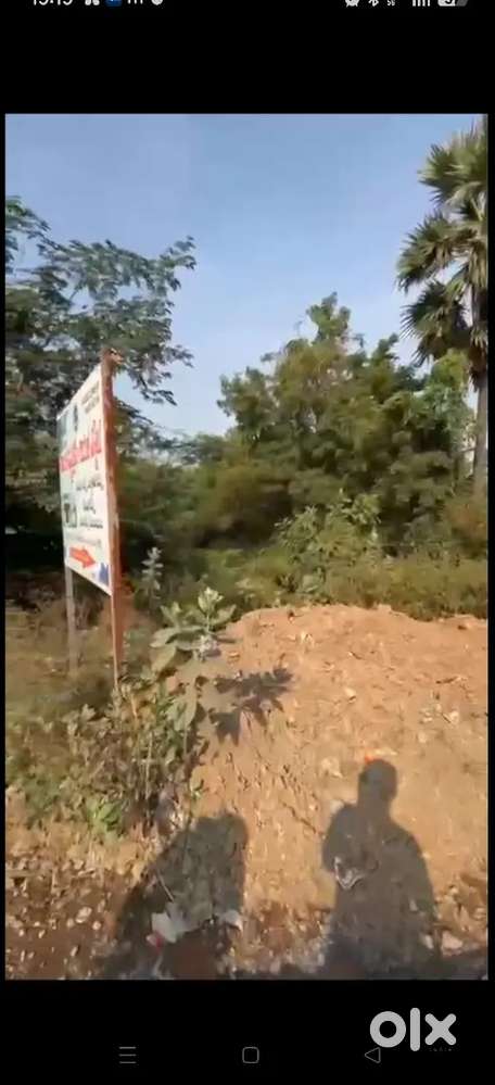 Location, konthamuru pappula street,