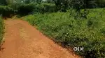 വിലക്കുറവിൽ പ്ലോട്ട്കൾ കാണക്കാരിൽ