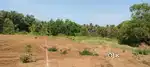 Near beach