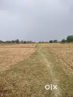 5;एकड़ भूमि बिकाऊ है प्लॉटिंग में रोड से लगी हुई है