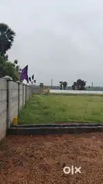 Hurry up: Approval plots for sale Kothavalasa S. Anandapuram road facg