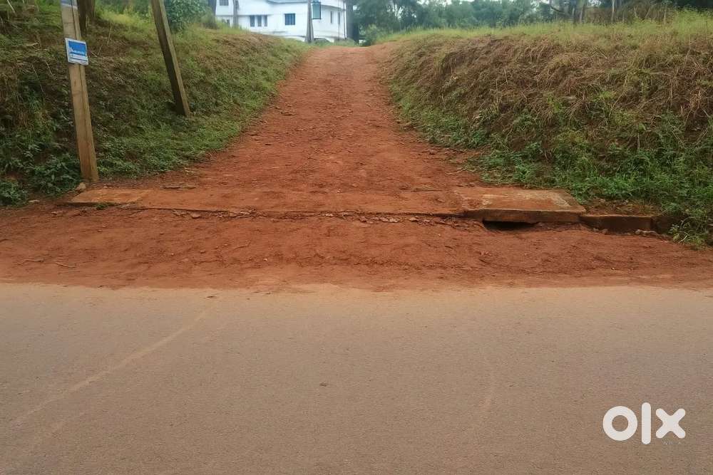 House plot near Mannarkad town