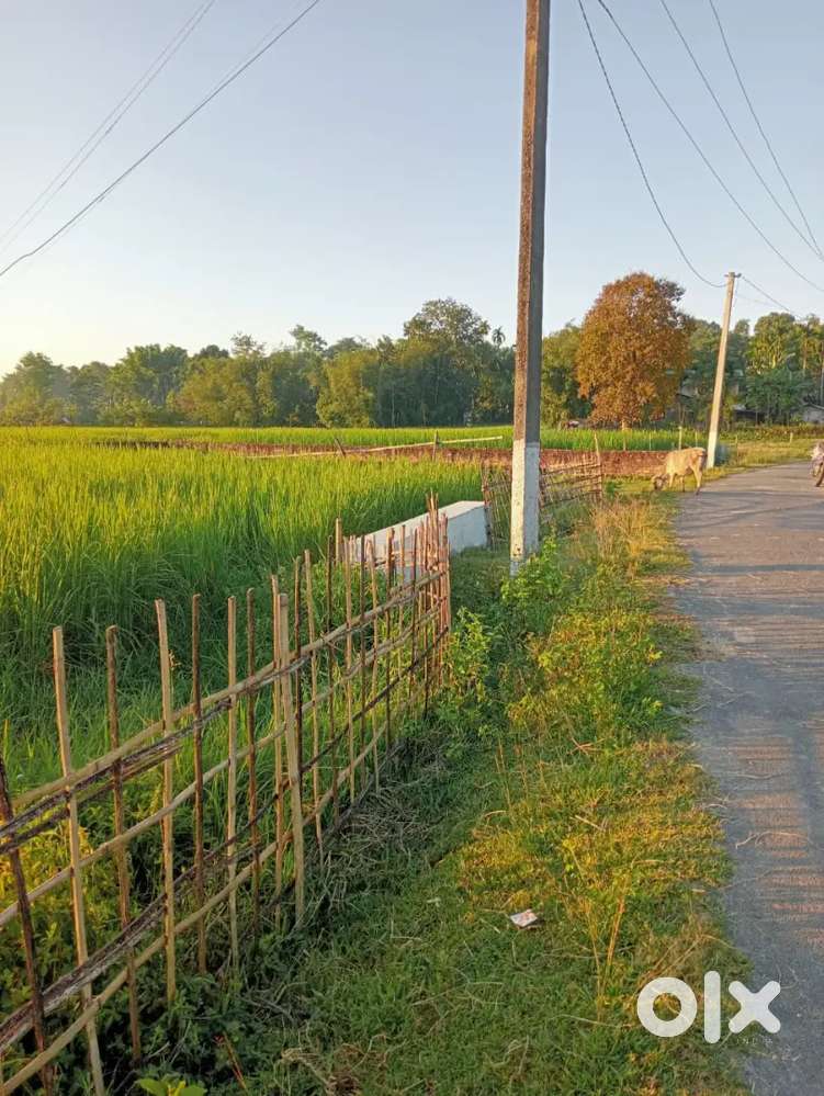 Land for sale