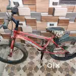 Panther DC Bicycle in Good Condition