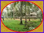 16 cents Residential/Commercial for sale in near Jaffar Khan Colony